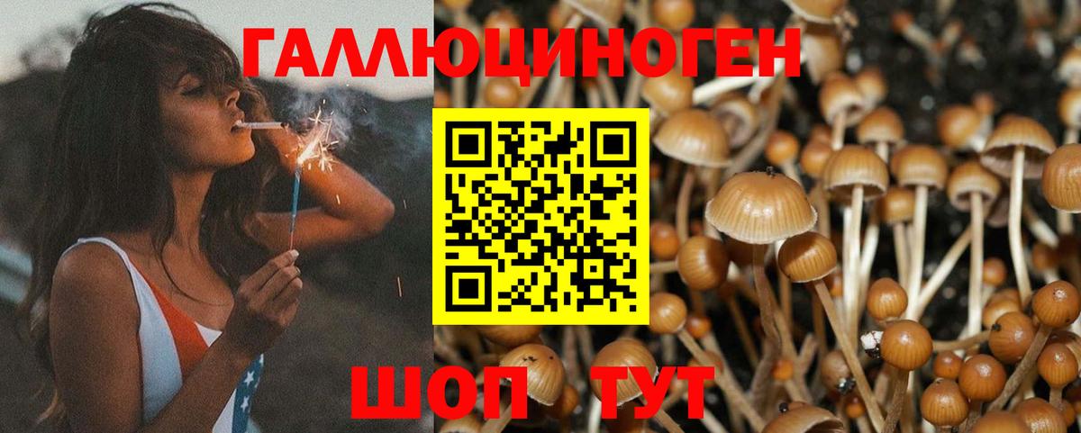 Псилоцибиновые грибы мицелий Апрелевка